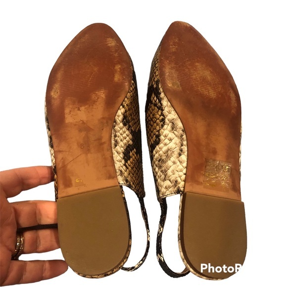 MADEWELL THE MARGOT SLINGBACK SNAKESKIN POINTED TOE FLATS SHOES 8 - Picture 6 of 11